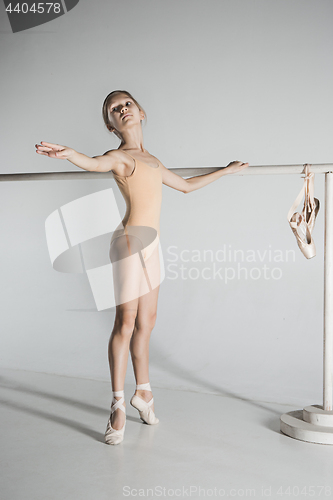 Image of The girl is training near the ballet barre.