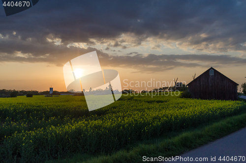 Image of Sunset by a canola field