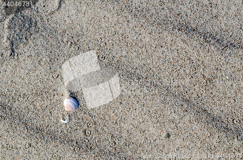 Image of Sand beach background