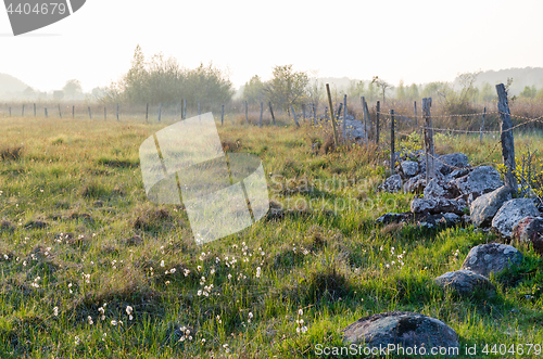 Image of Old fence in a beautiful pastureland