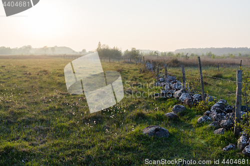 Image of Misty evening in a beautiful  pastureland