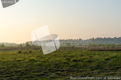 Image of Misty springtime evening in a grassland