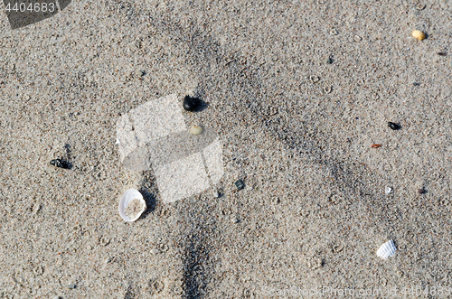 Image of Sand beach closeup