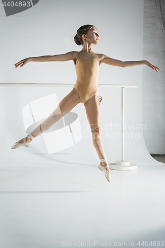 Image of The girl is training near the ballet barre.