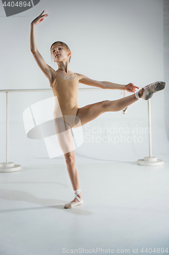 Image of The girl is training near the ballet barre.