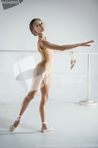 Image of The girl is training near the ballet barre.