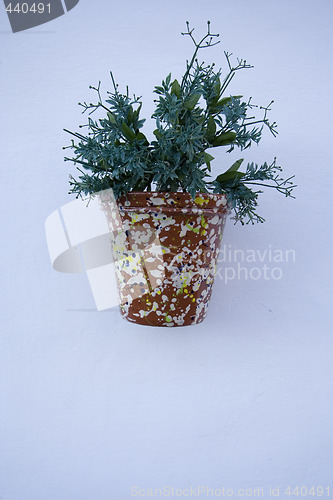 Image of Vase