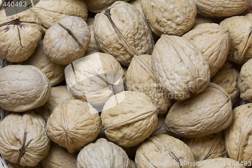 Image of Walnuts pattern