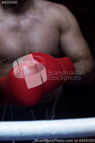 Image of kick boxer with a focus on the gloves
