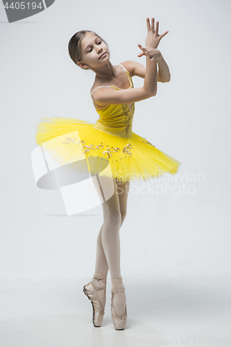 Image of Young classical dancer on white background.