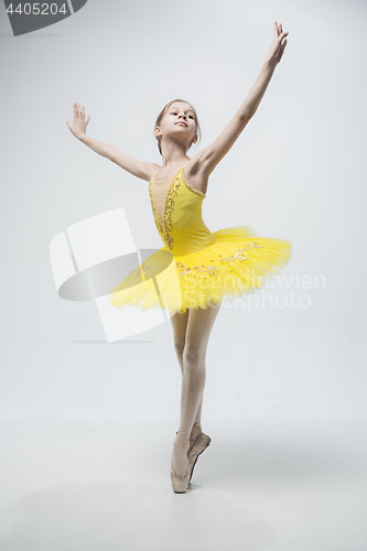 Image of Young classical dancer on white background.