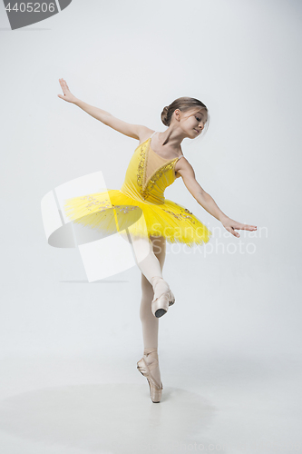 Image of Young classical dancer on white background.