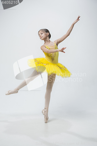 Image of Young classical dancer on white background.