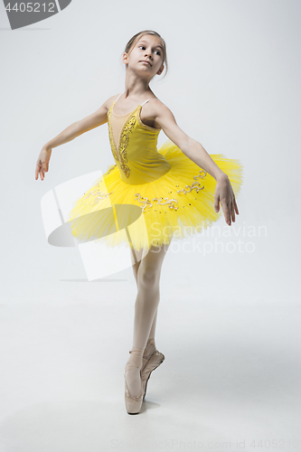 Image of Young classical dancer on white background.