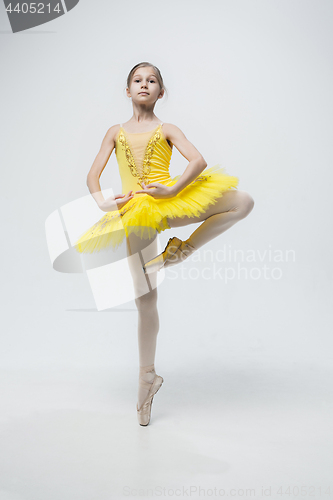 Image of Young classical dancer on white background.