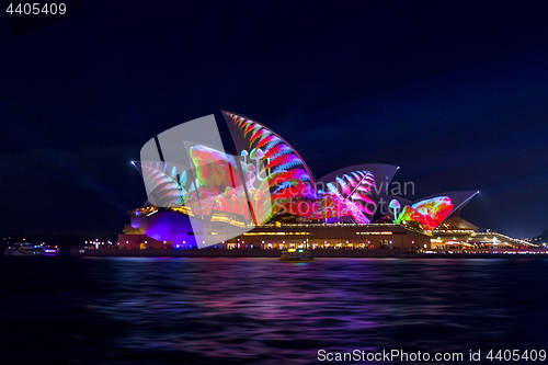 Image of Sydney Opera House illuminated with beautiful vibrant imagery at