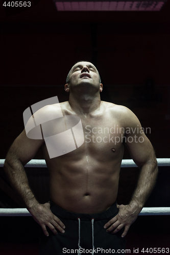 Image of portrait of muscular professional kickboxer