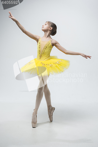 Image of Young classical dancer on white background.