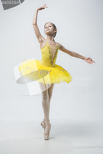 Image of Young classical dancer on white background.