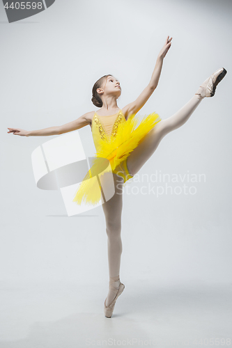 Image of Young classical dancer on white background.