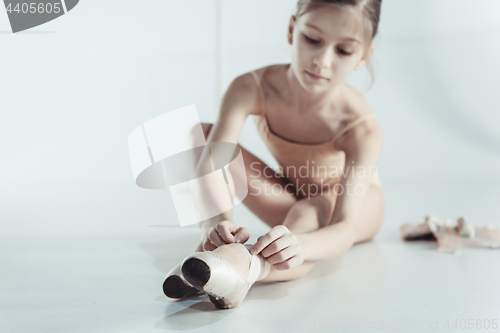 Image of Beautiful little ballerina puting on foot pointe shoes