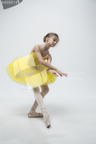 Image of Young classical dancer on white background.