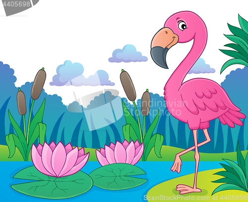 Image of Flamingo topic image 5