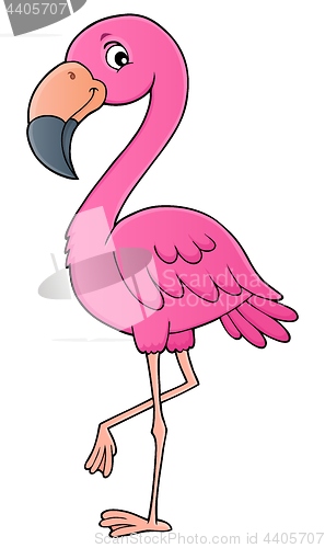 Image of Flamingo topic image 1