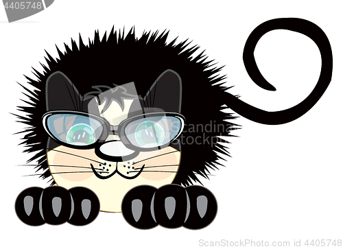 Image of Ruffled black cat