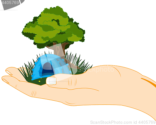 Image of Glade and tree in palm of the person