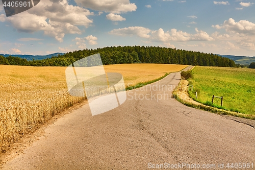 Image of Road through farmlands