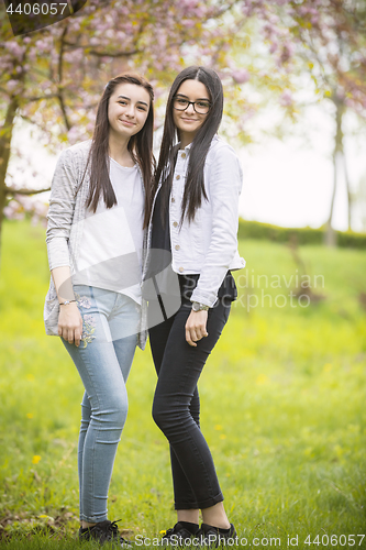 Image of Two sisters having fun in the park