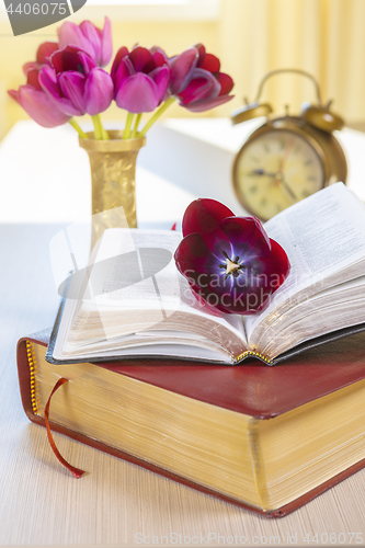 Image of Holy Bible and old gold alarm clock on wood table