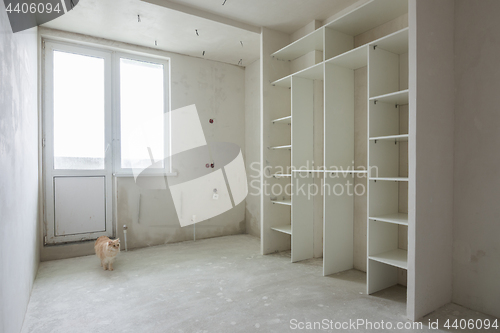 Image of A cat walks through an empty room in a new building