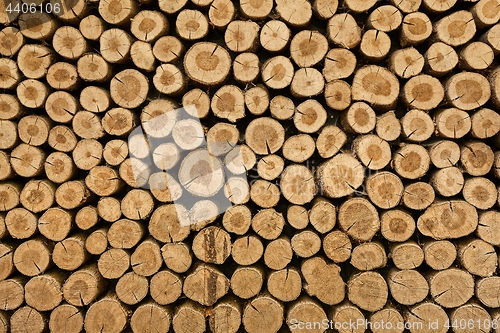 Image of Log wood pile