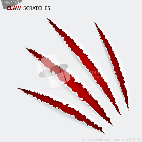 Image of Scratch Claws of Animal