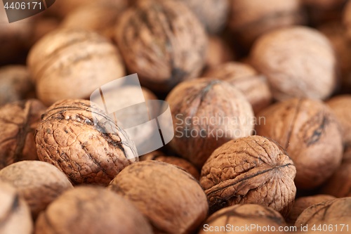Image of Walnuts in a pile