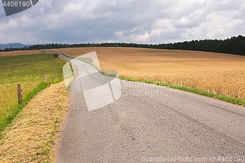 Image of Road through farmlands