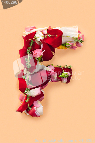 Image of Letter F made from red roses and petals isolated on a white background