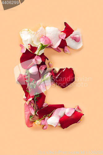 Image of Letter E made from red roses and petals isolated on a white background