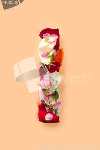 Image of Letter I made from red roses and petals isolated on a white background