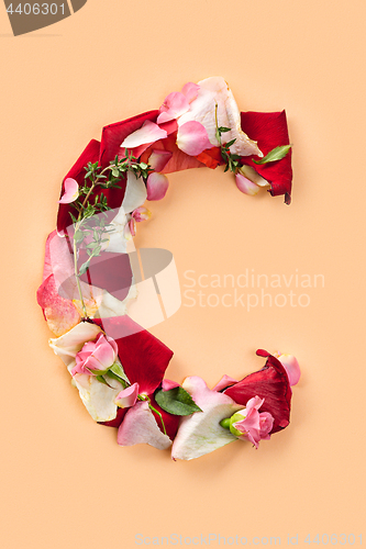 Image of Letter C made from red roses and petals isolated on a white background