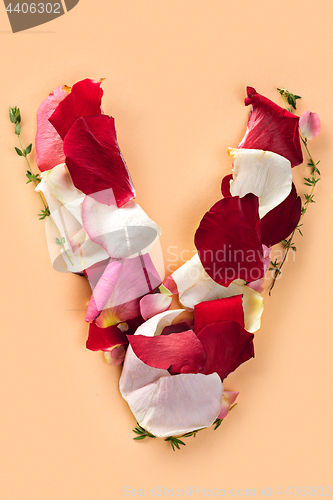 Image of Letter V made from red roses and petals isolated on a white background