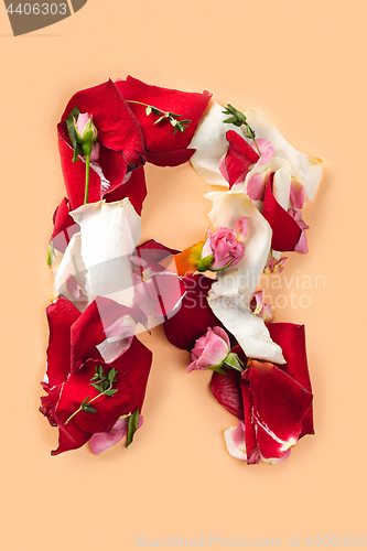 Image of Letter R made from red roses and petals isolated on a white background