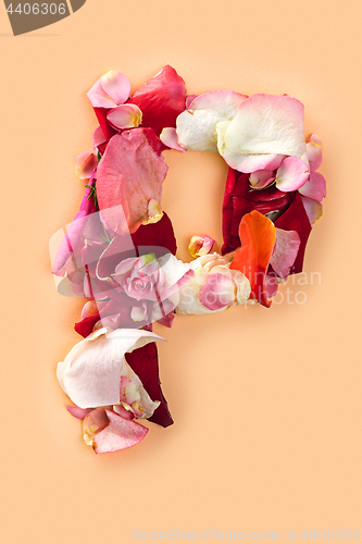 Image of Letter P made from red roses and petals isolated on a white background