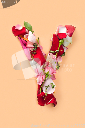 Image of Letter Y made from red roses and petals isolated on a white background