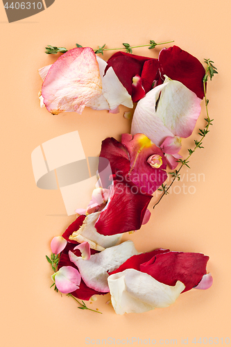 Image of Letter Z made from red roses and petals isolated on a white background