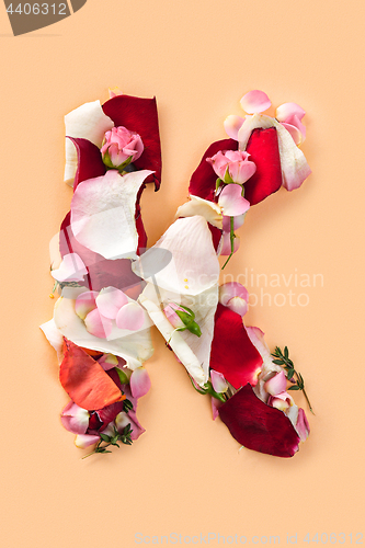 Image of Letter K made from red roses and petals isolated on a white background