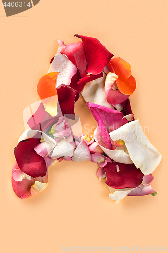 Image of Letter A made from red roses and petals isolated on a white background