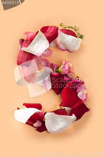 Image of Letter S made from red roses and petals isolated on a white background